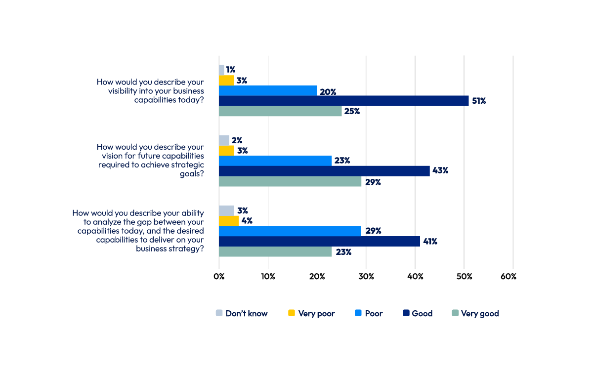 Chart-Understanding-business-capabilities